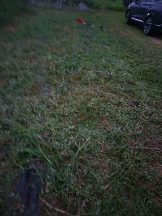 뚜벅이님의 기타작물 · 영농일지 작성글 사진