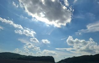 철남 김희곤님의 복숭아 · 영농일지 작성글 사진