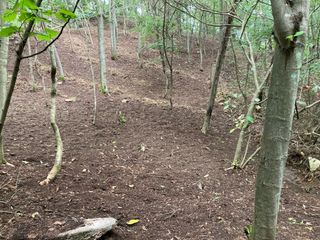 youl님의 기타작물 · 영농일지 작성글 사진