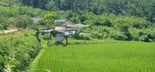 최갑수 님의 기타작물 · 영농일지 작성글 사진