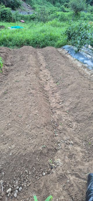 봉림동 태진농장님의 기타작물 · 영농일지 작성글 사진