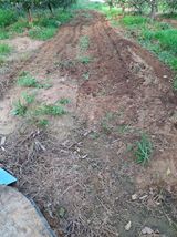 팜모닝 배추·영농일지 게시글 이미지