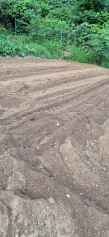 팜모닝 기타작물·영농일지 게시글 이미지