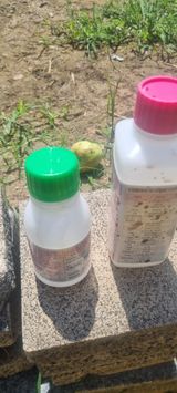 팜모닝 사과·영농일지 게시글 이미지