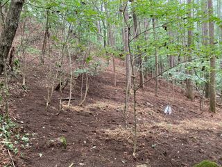 youl님의 기타작물 · 영농일지 작성글 사진