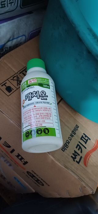 보물섬남자님의 귤 · 영농일지 작성글 사진