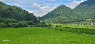 최갑수 님의 기타작물 · 영농일지 작성글 사진