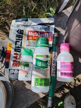 팜모닝 감·영농일지 게시글 이미지