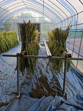 이천농부님의 참깨 · 영농일지 작성글 사진