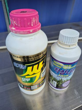 김한수님의 기타작물 · 영농일지 작성글 사진