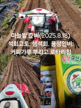 팜모닝 마늘·영농일지 게시글 이미지