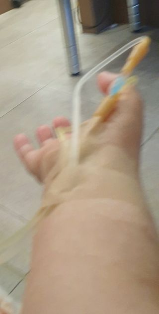 SOUL님의 기타작물 · 영농일지 작성글 사진