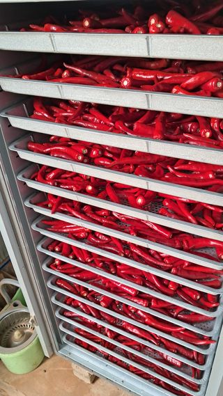 bpjh9173님의 기타작물 · 영농일지 작성글 사진