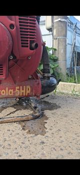 팜모닝 기타작물·영농일지 게시글 이미지