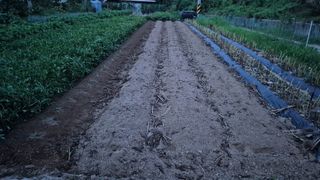 전환엽님의 기타작물 · 영농일지 작성글 사진