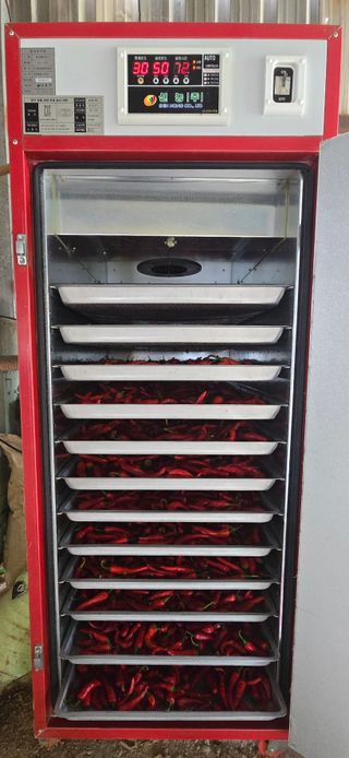 하늘사랑 님의 고추 · 영농일지 작성글 사진