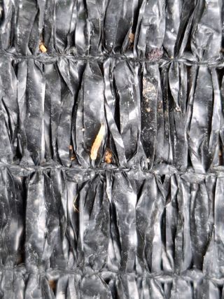 천성을향하여님의 고추 · 영농일지 작성글 사진