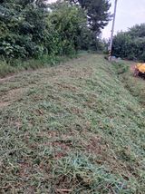 팜모닝 기타작물·영농일지 게시글 이미지