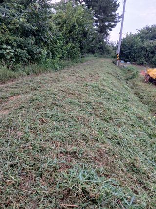 김형수님의 기타작물 · 영농일지 작성글 사진