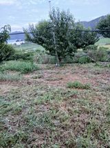 팜모닝 기타작물·영농일지 게시글 이미지