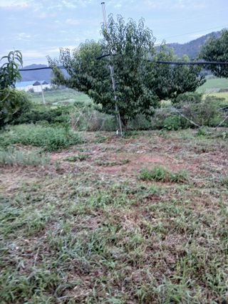 성재엄마님의 기타작물 · 영농일지 작성글 사진