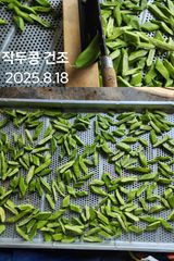 팜모닝 콩·영농일지 게시글 이미지