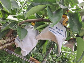 박미스터님의 기타작물 · 영농일지 작성글 사진