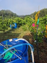 팜모닝 기타작물·영농일지 게시글 이미지