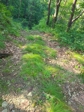 무주설천면 반딧팝님의 기타작물 · 영농일지 작성글 사진
