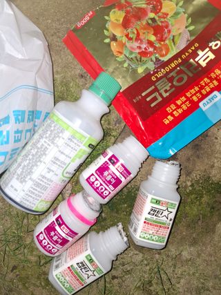 김영기님의 포도 · 영농일지 작성글 사진