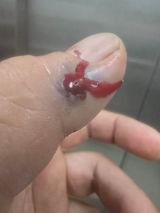 팜모닝 벼·영농일지 게시글 이미지