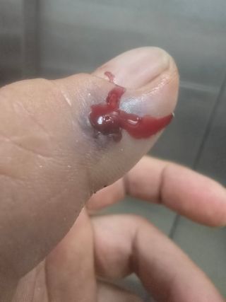 임종대님의 벼 · 영농일지 작성글 사진