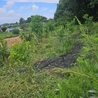 이주환님의 기타작물 · 영농일지 작성글 사진