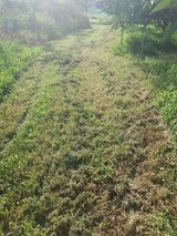 팜모닝 감·영농일지 게시글 이미지