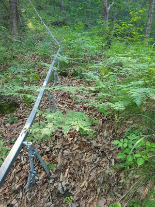 무주설천면 반딧팝님의 기타작물 · 영농일지 작성글 사진