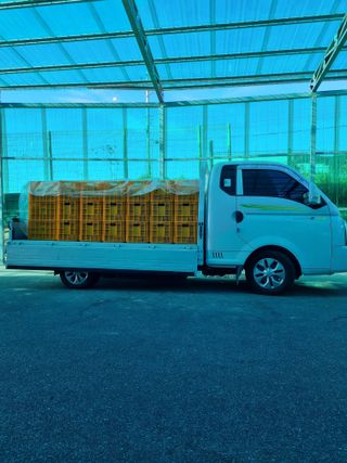 김희범님의 오이 · 영농일지 작성글 사진