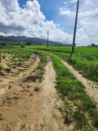 박진한님의 배 · 영농일지 작성글 사진