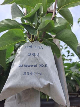 박미스터님의 기타작물 · 영농일지 작성글 사진