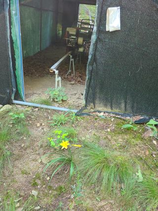 무주설천면 반딧팝님의 기타작물 · 영농일지 작성글 사진