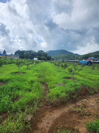 박진한님의 배 · 영농일지 작성글 사진