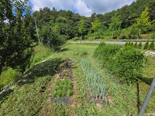 강호지인님의 기타작물 · 영농일지 작성글 사진