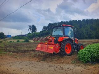 오이8898황산면님의 배추 · 영농일지 작성글 사진