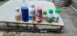 이성우님의 고추 · 영농일지 작성글 사진