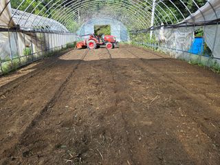 윤자용11대임후회장님의 배추 · 영농일지 작성글 사진