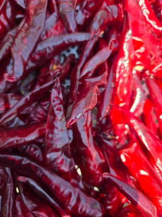 표고버섯8364님의 기타작물 · 영농일지 작성글 사진