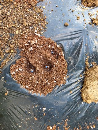 허인녕님의 기타작물 · 영농일지 작성글 사진