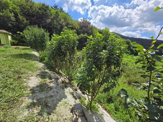 강호지인님의 기타작물 · 영농일지 작성글 사진