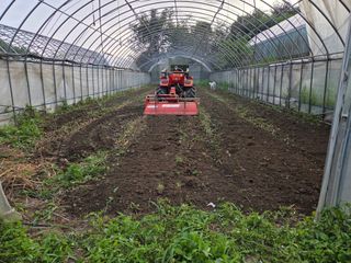 윤자용11대임후회장님의 배추 · 영농일지 작성글 사진