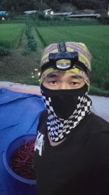 팜모닝 고추·영농일지 게시글 이미지