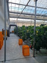 팜모닝 오이·영농일지 게시글 이미지